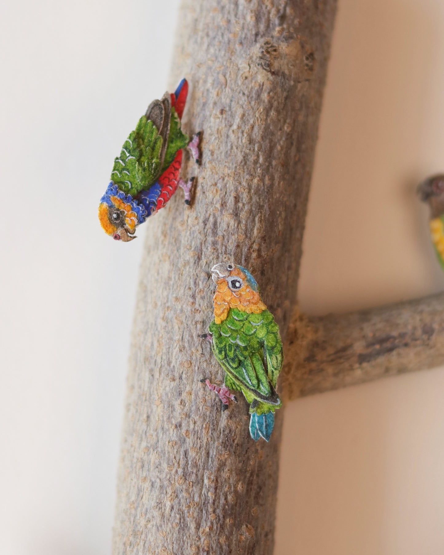 Flock of Pygmy parrots