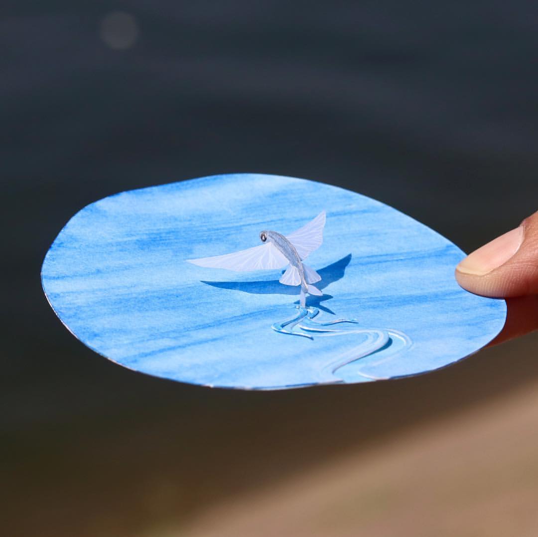Flying fish