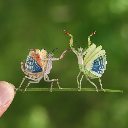 Praying Mantis