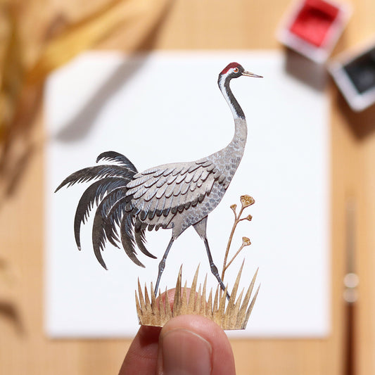 Common Crane