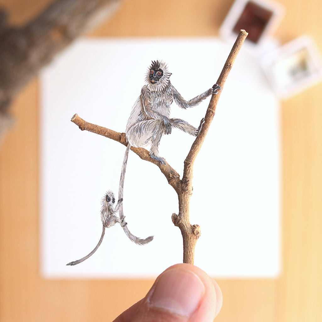Gray Langur with Baby