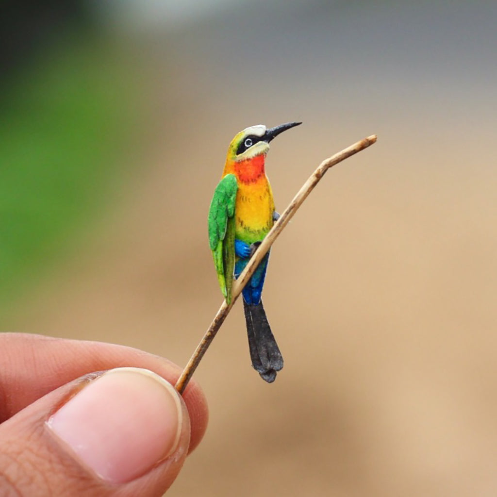 White fronted Bee-eater