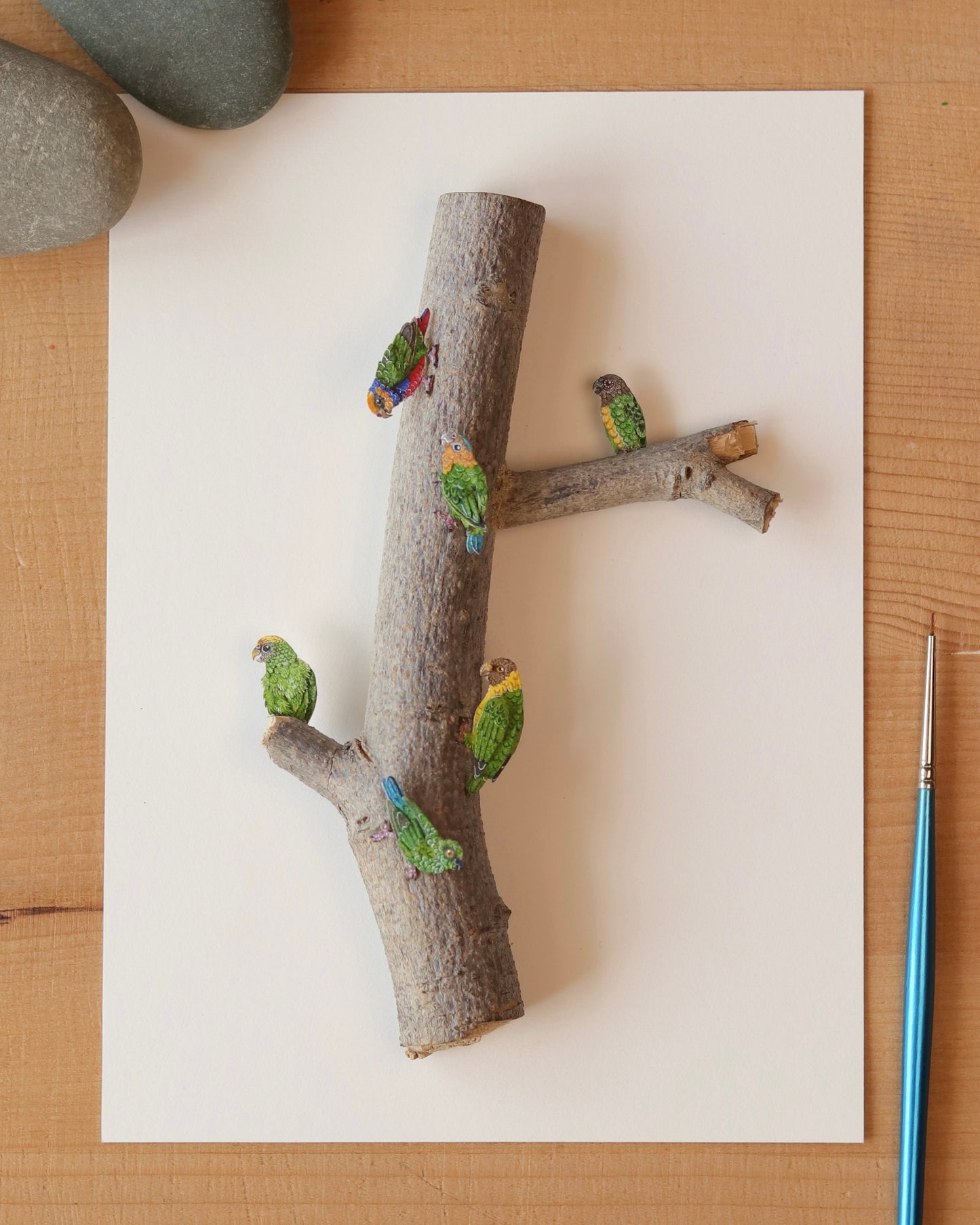 Flock of Pygmy parrots