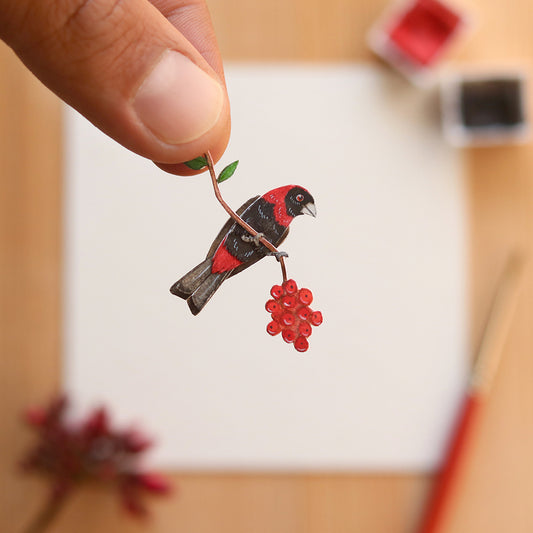 Crimson collared Tanager