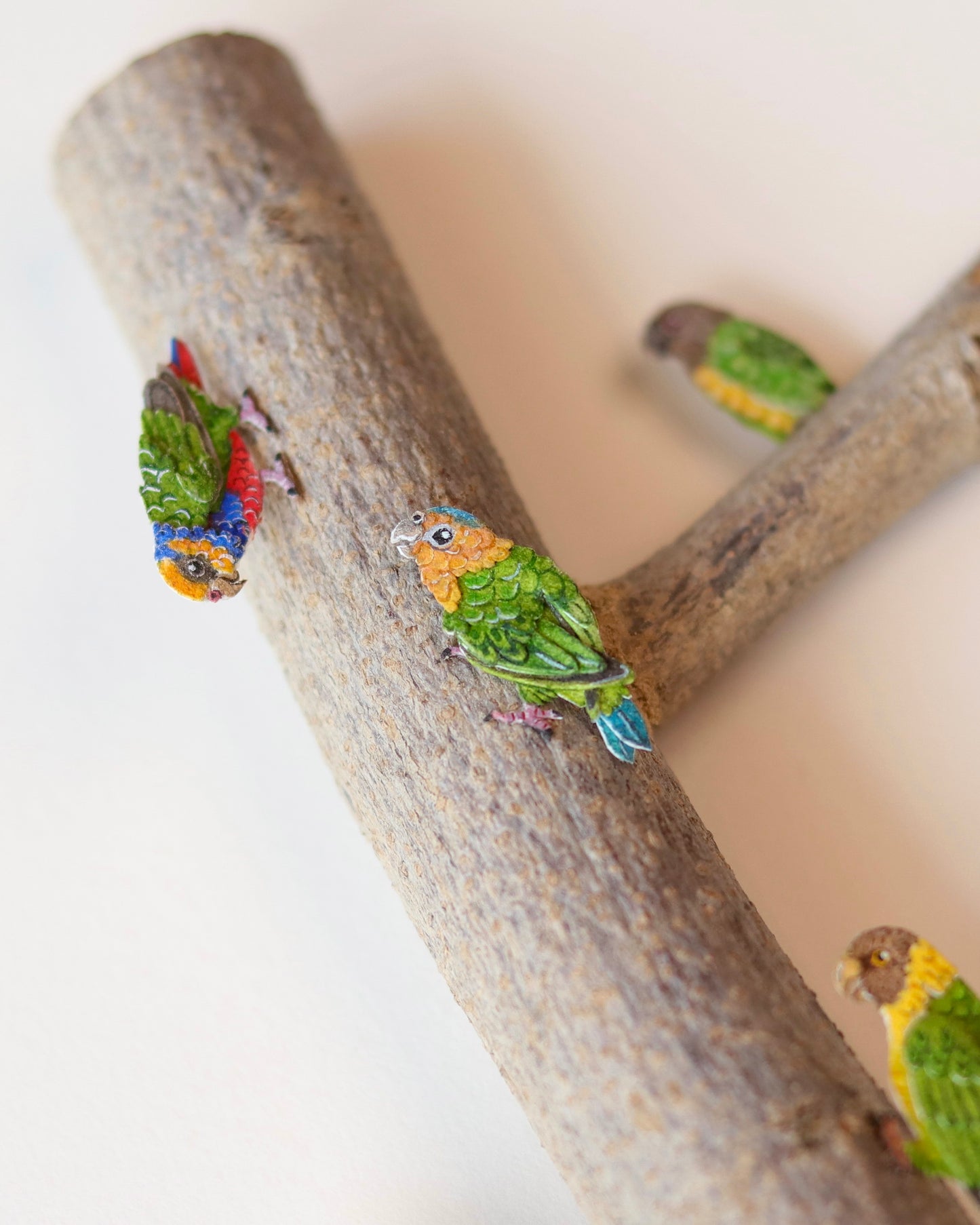 Flock of Pygmy parrots