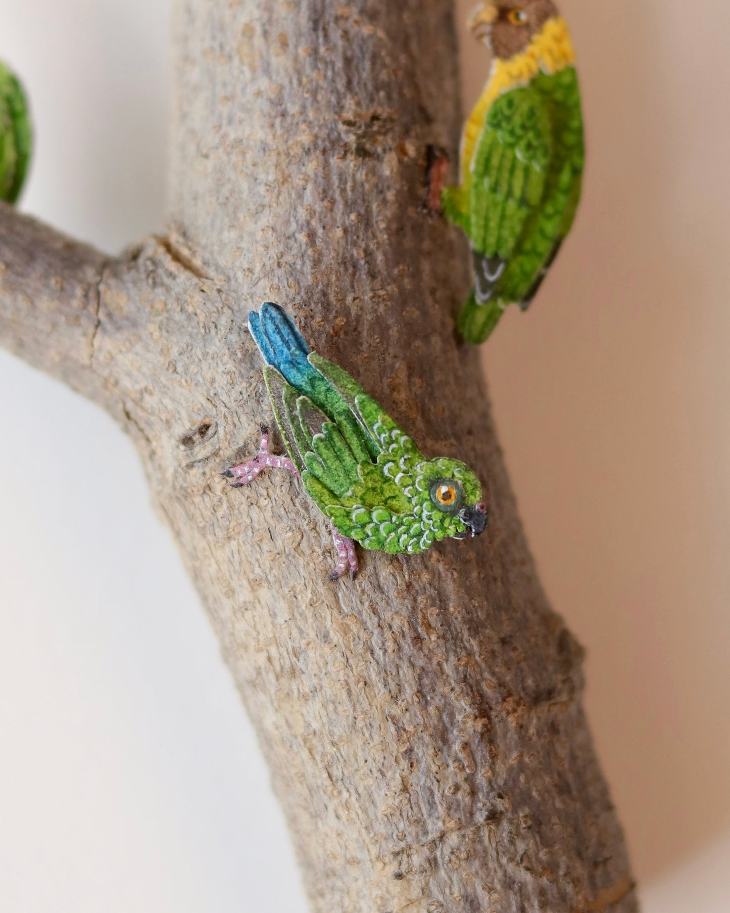 Flock of Pygmy parrots