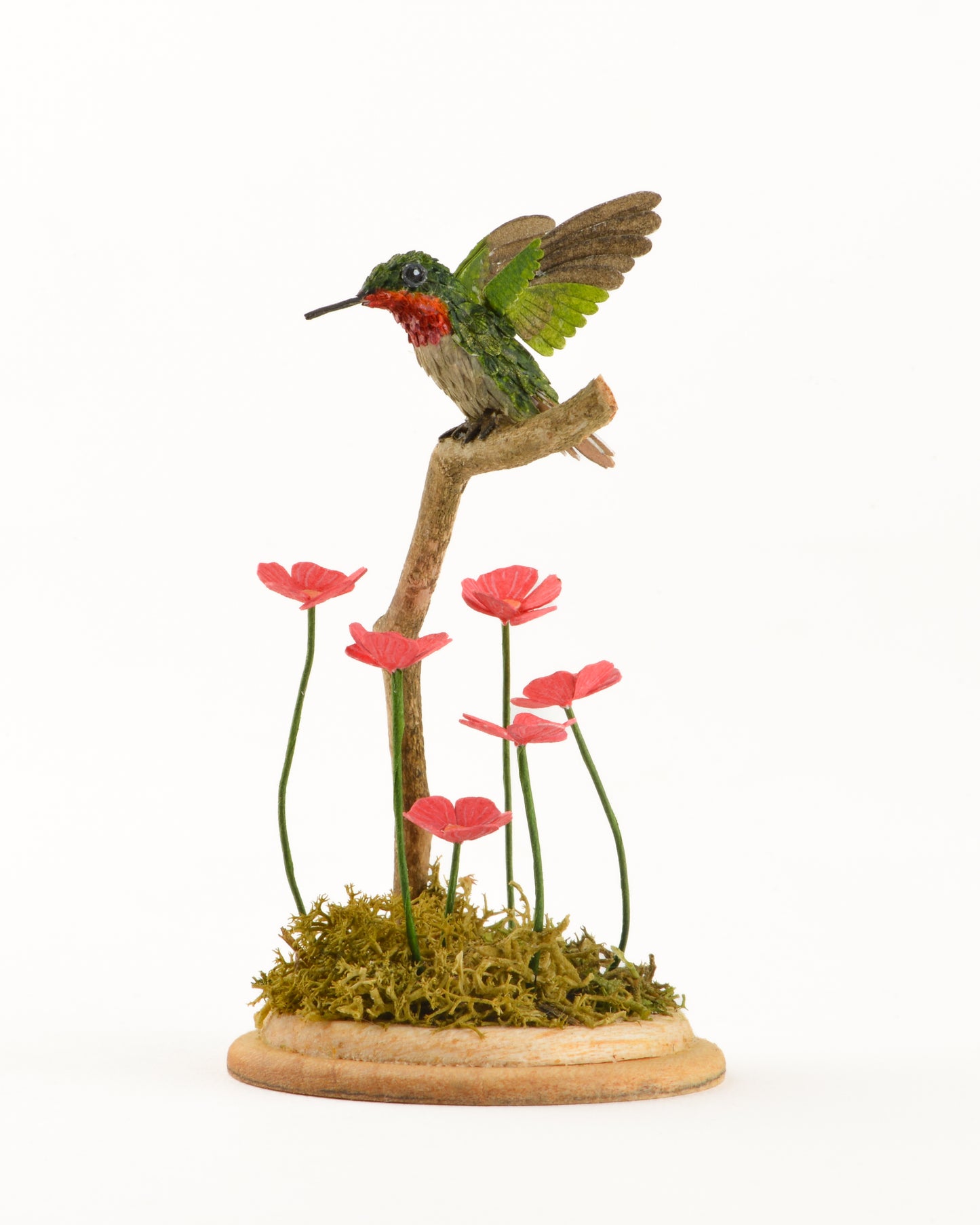 Ruby throated hummingbird in blossoms