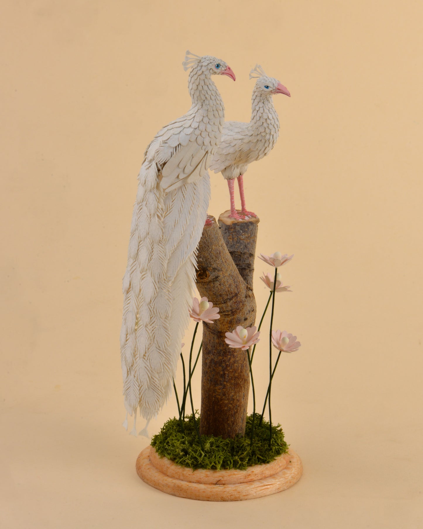 A Delicate Duet: Albino Peacock Love