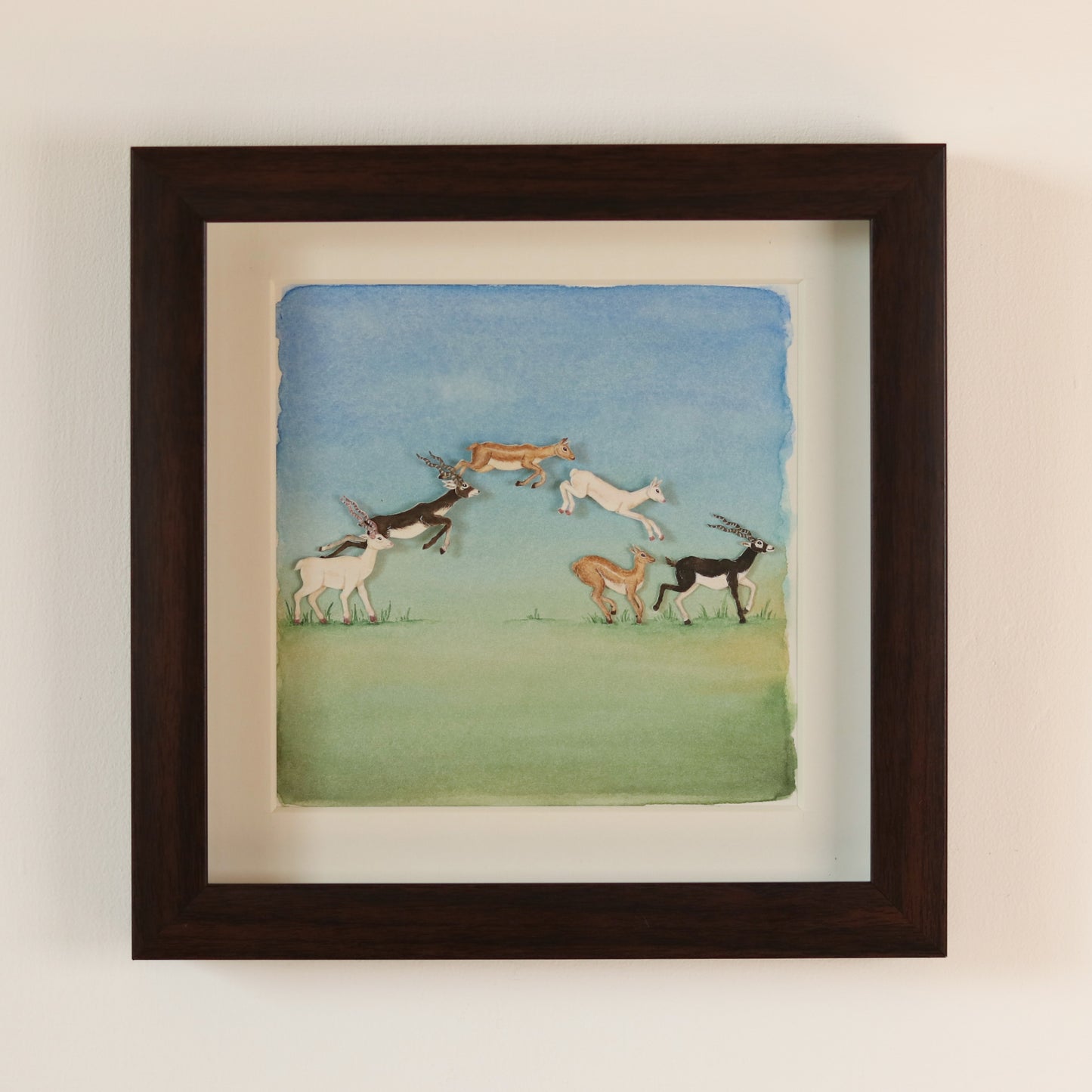 Blackbuck