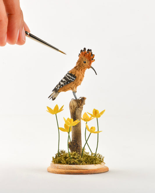 Eurasian Hoopoe
