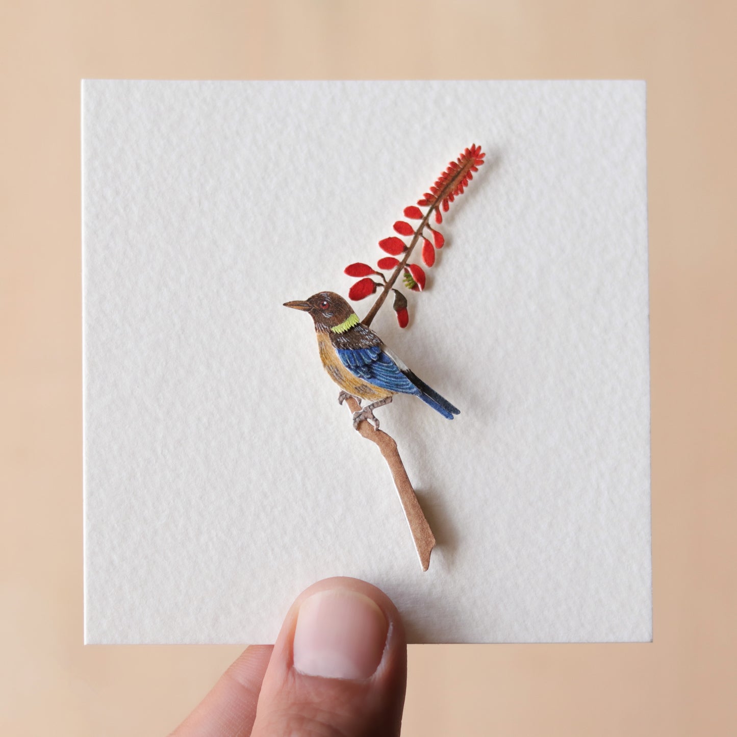 Golden collared honeycreeper