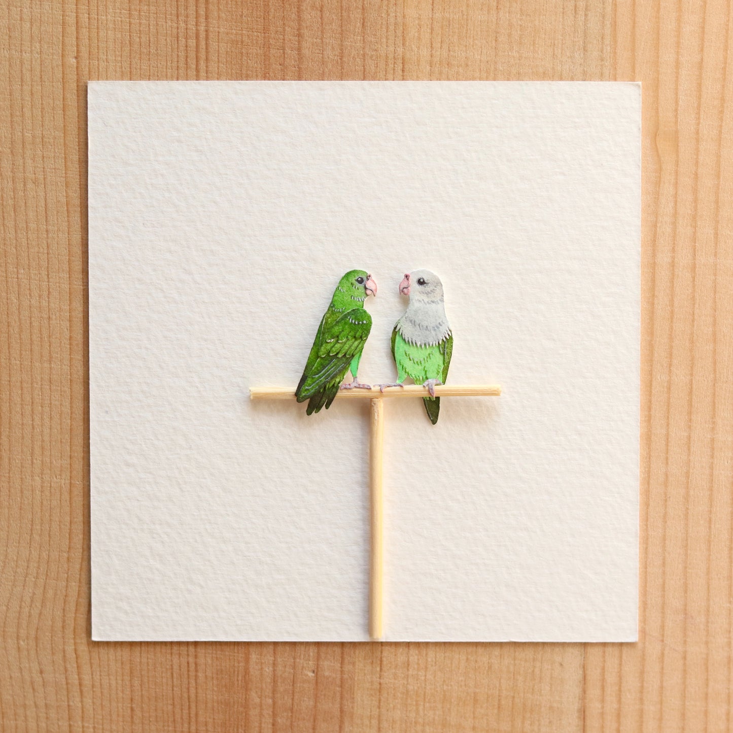 Grey Headed Love Birds