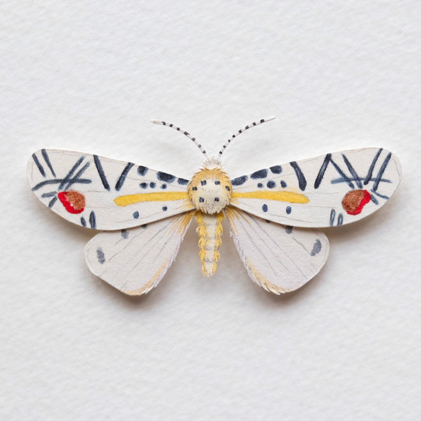 Picasso Moth