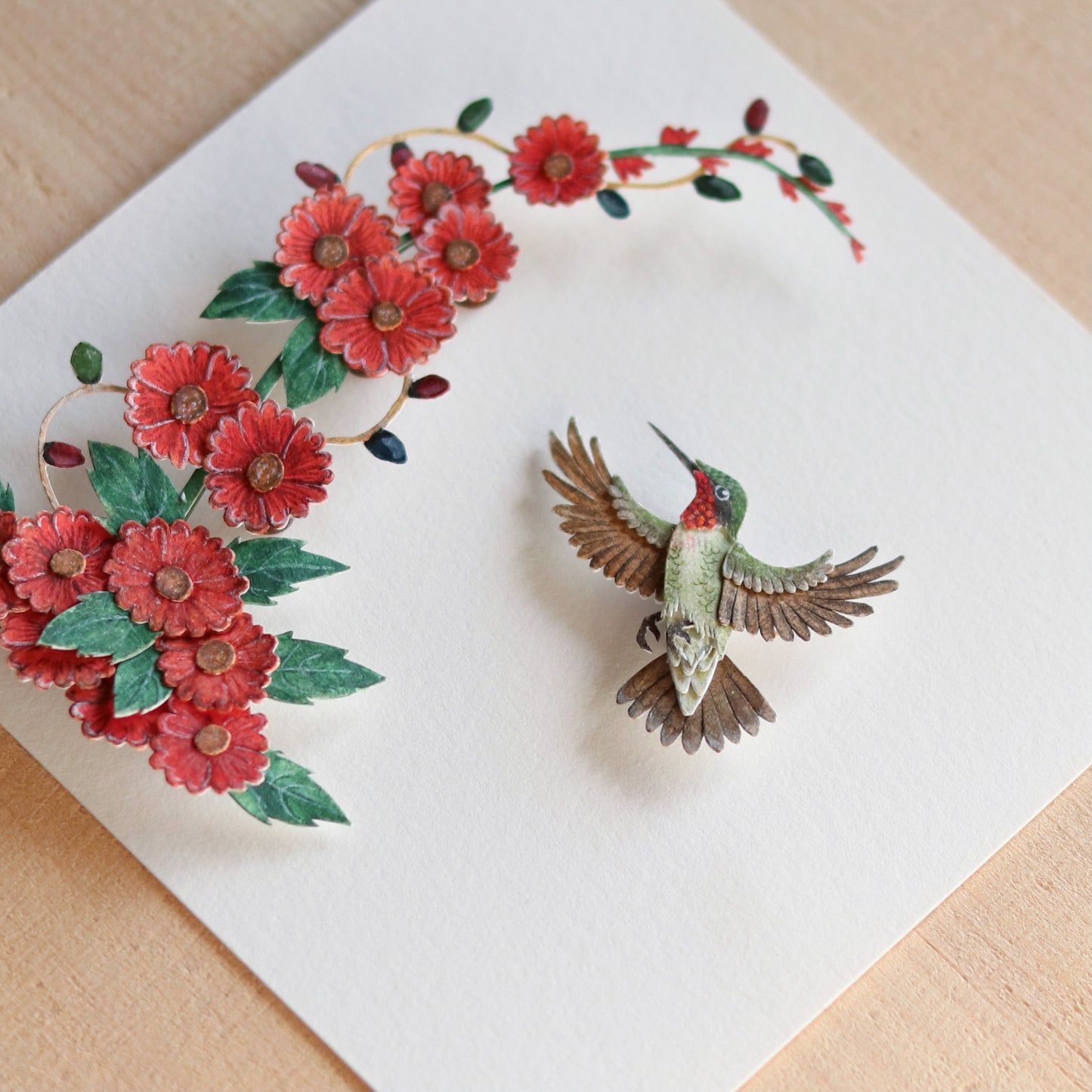 Ruby throated hummingbird