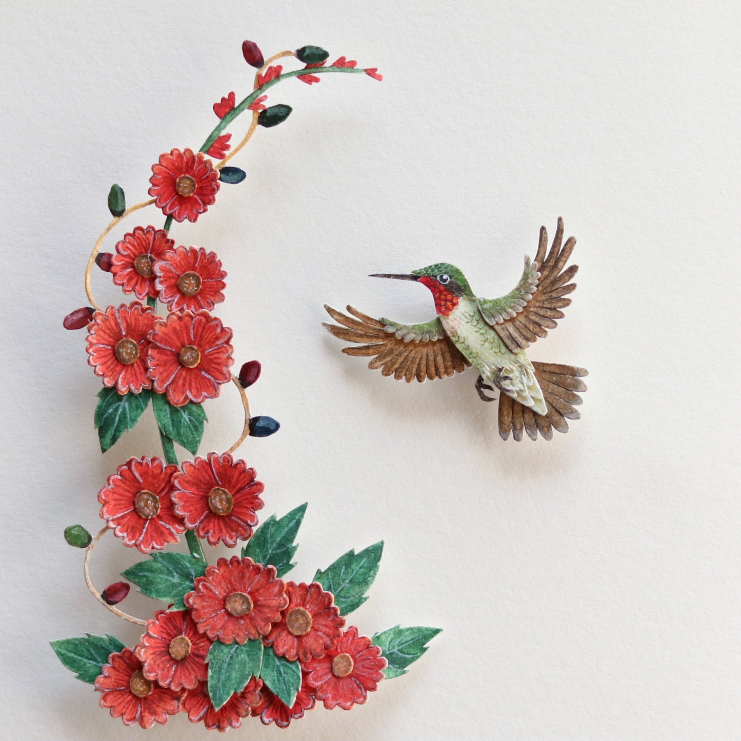 Ruby throated hummingbird
