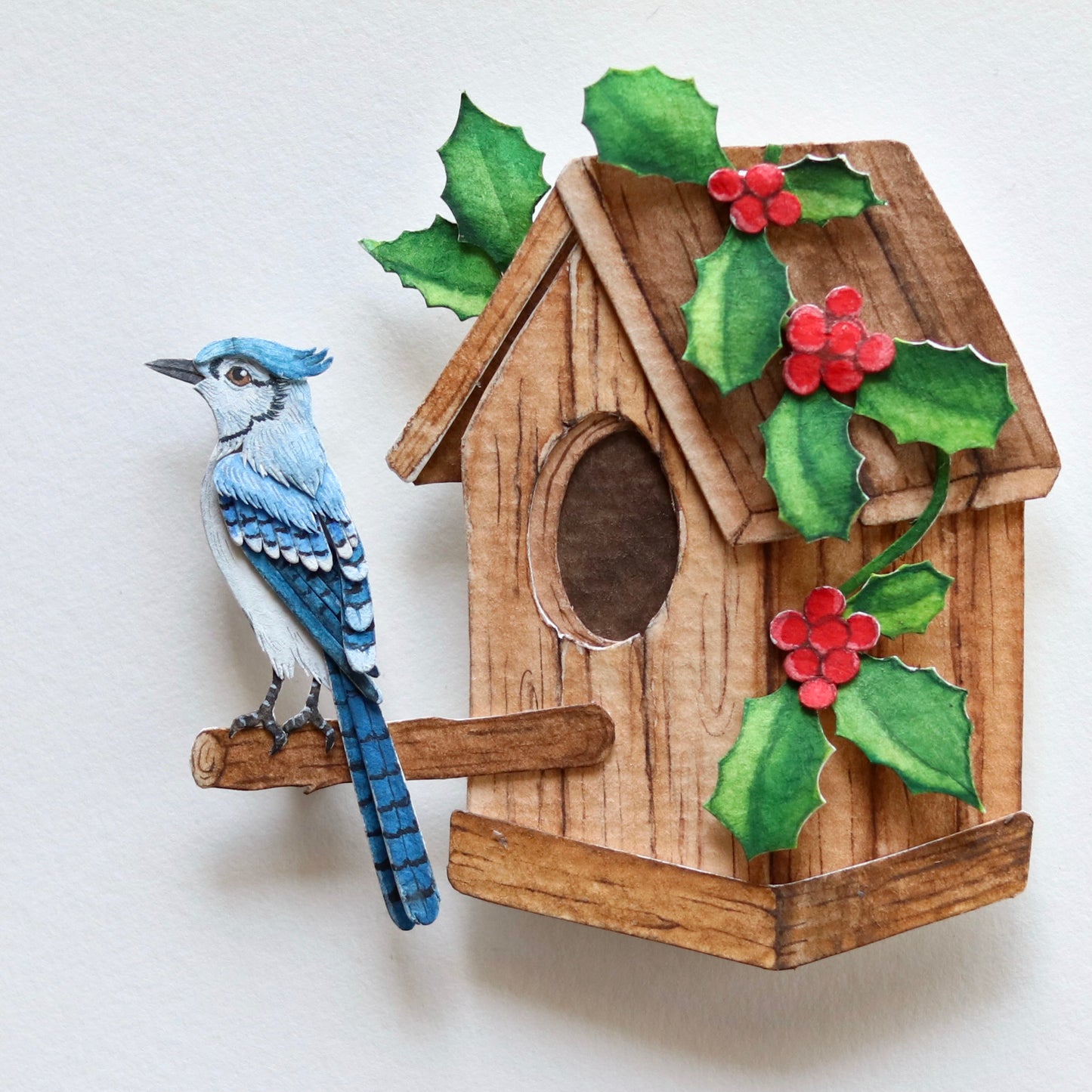 Blue Jay