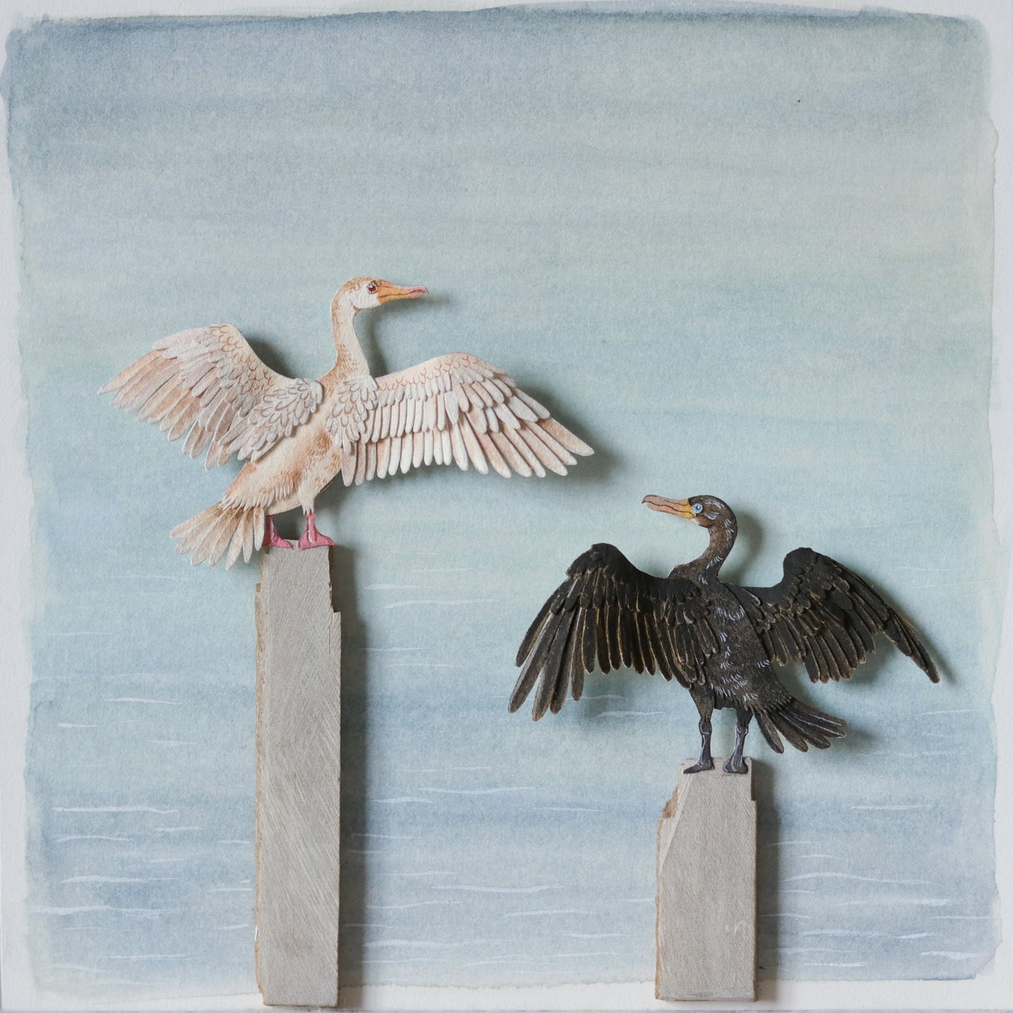 Double crested cormorant