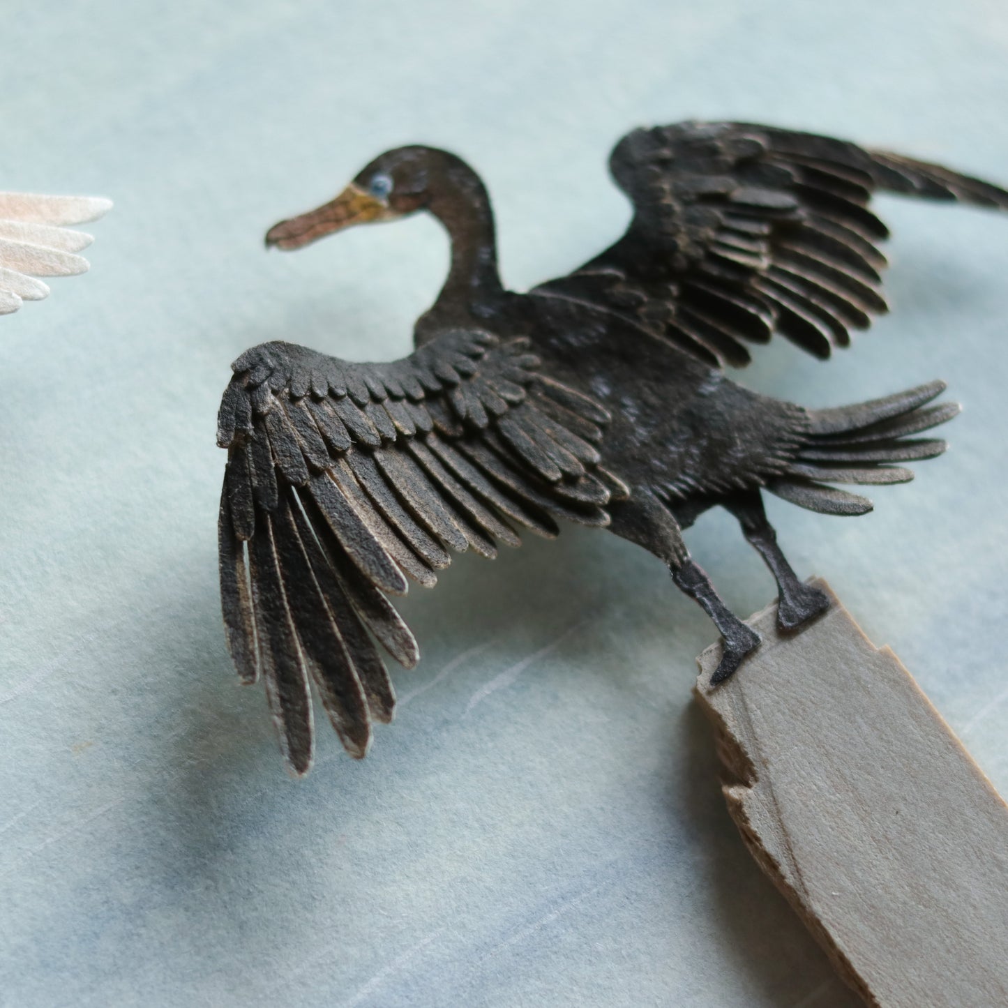 Double crested cormorant
