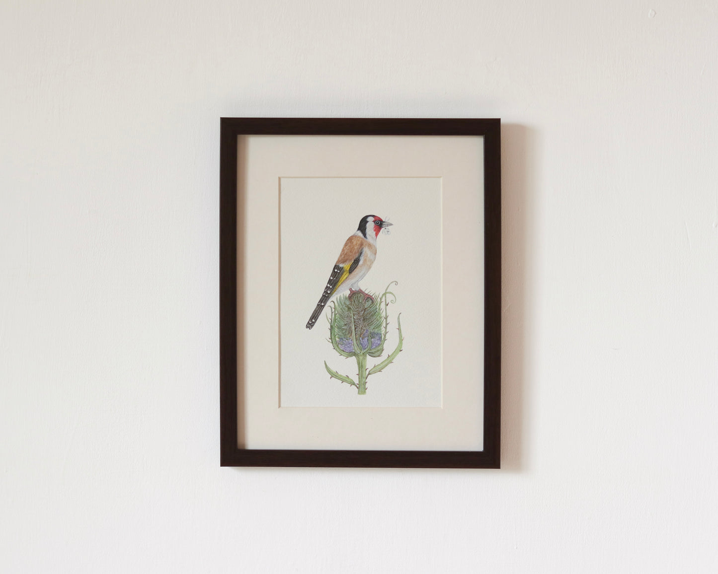European goldfinch