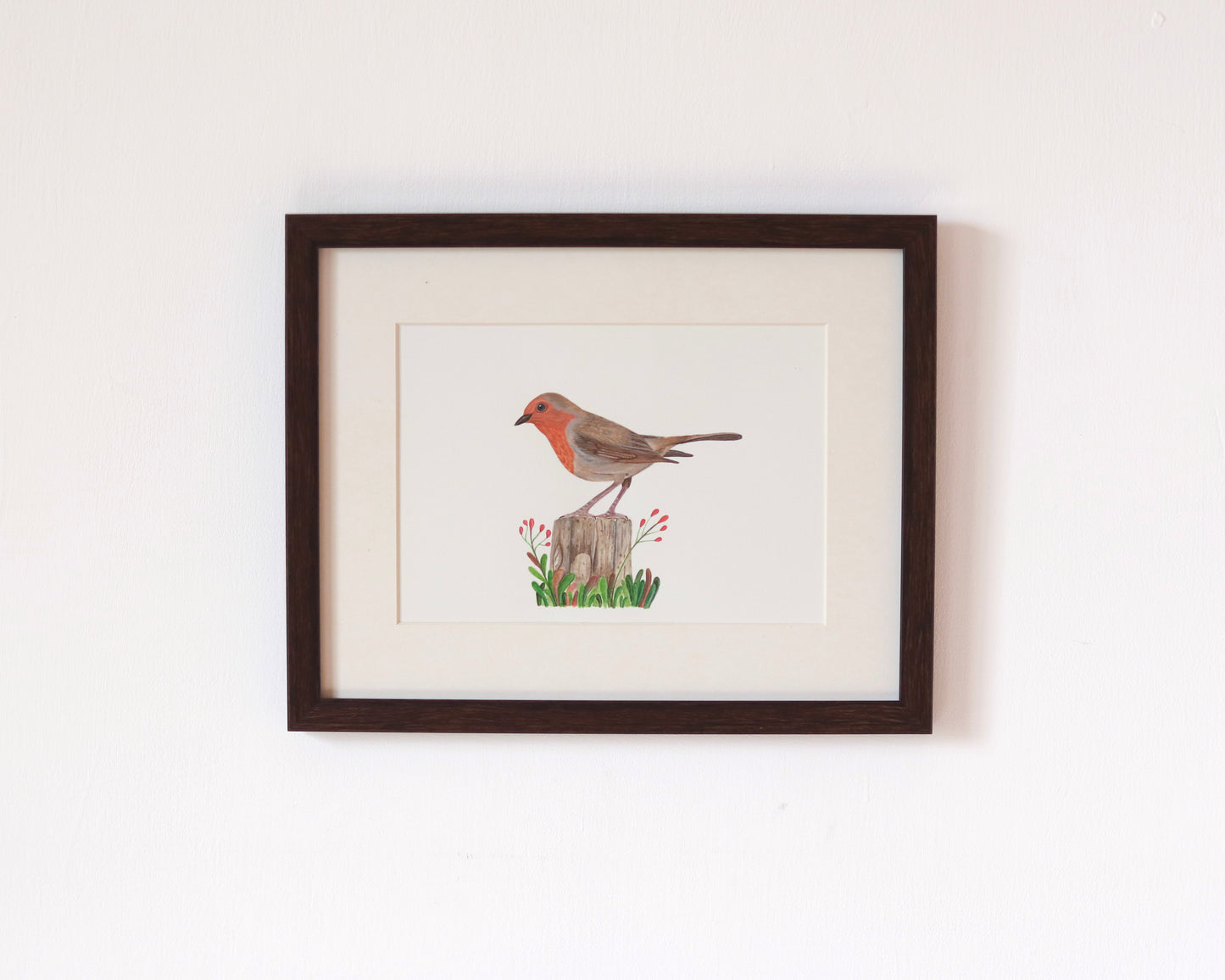 European robin