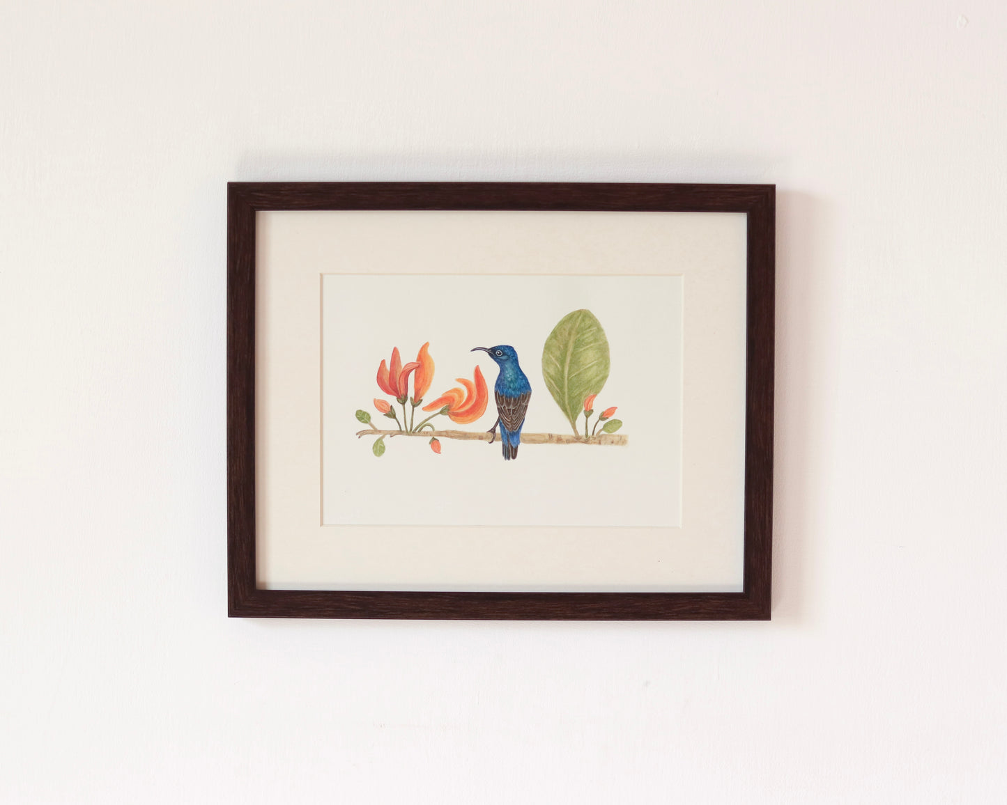 Purple sunbird