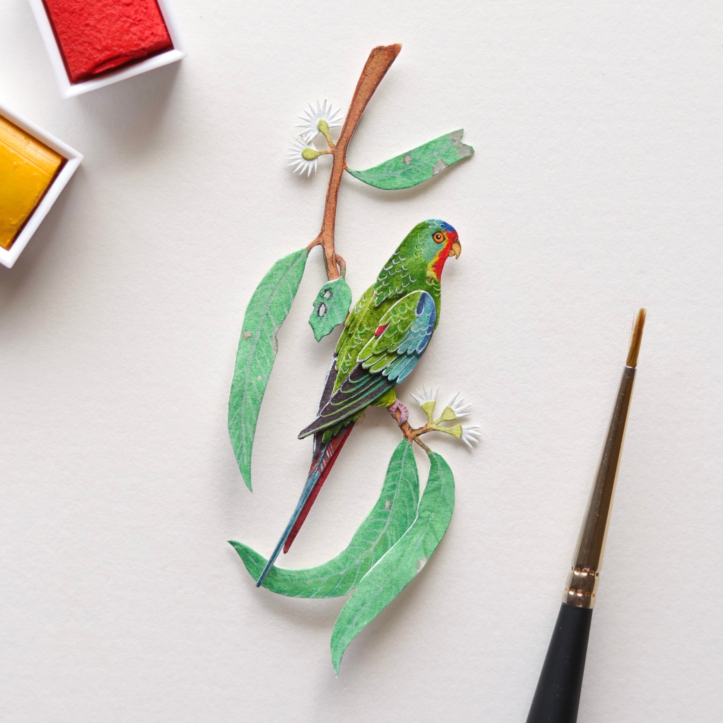 Swift Parrot