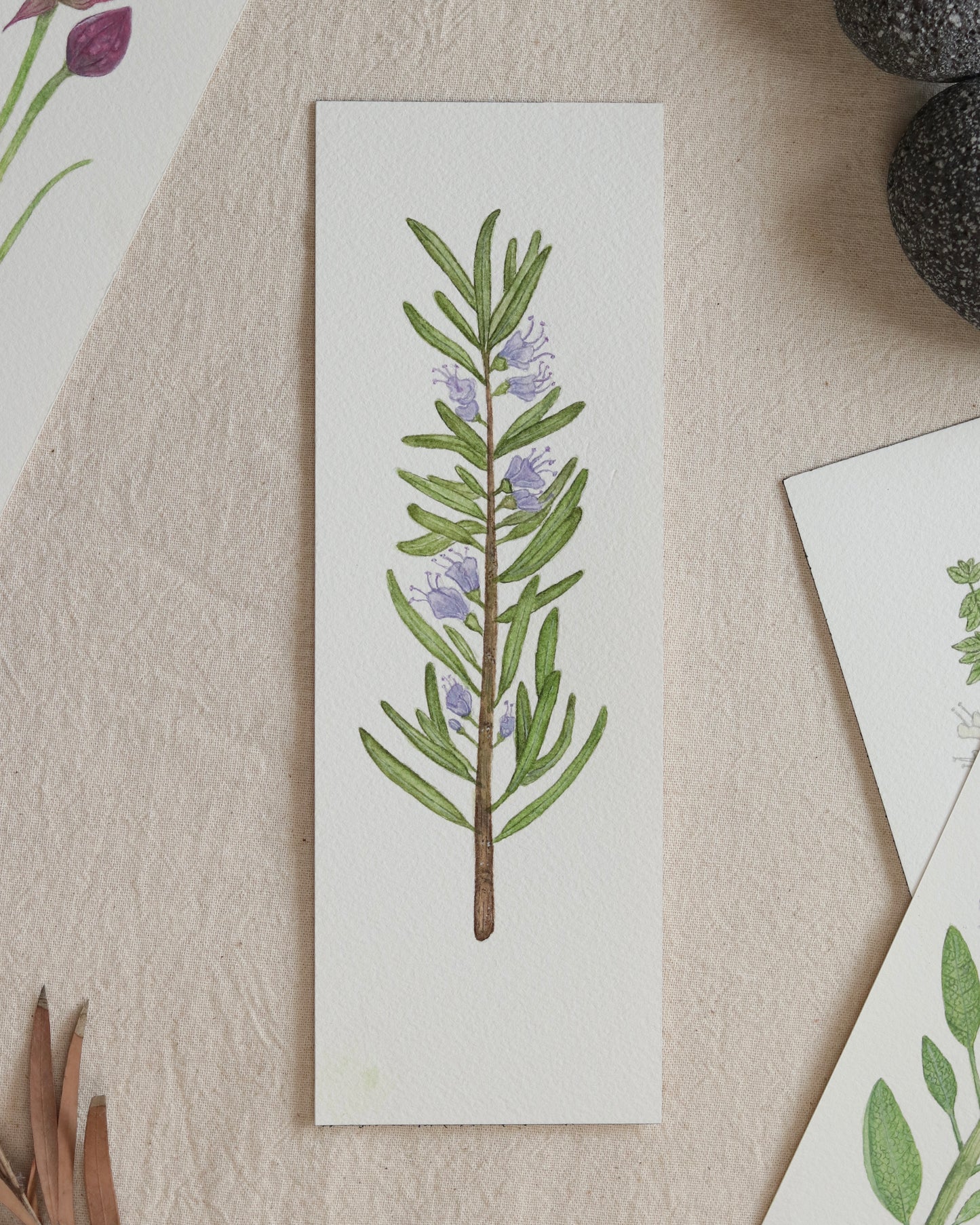 Kitchen Herbs