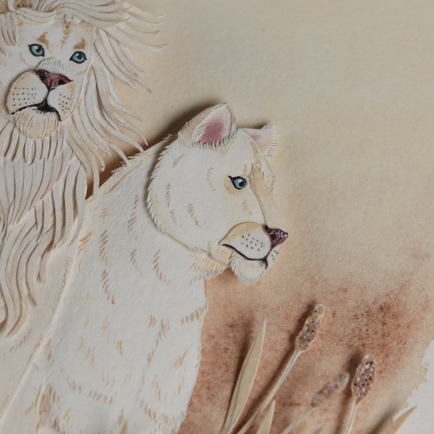 African Lion couple