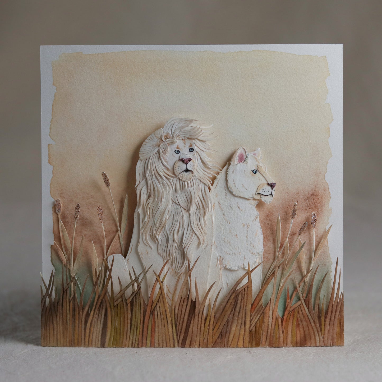 African Lion couple