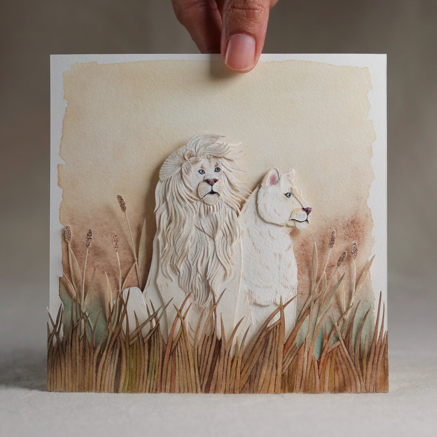 African Lion couple