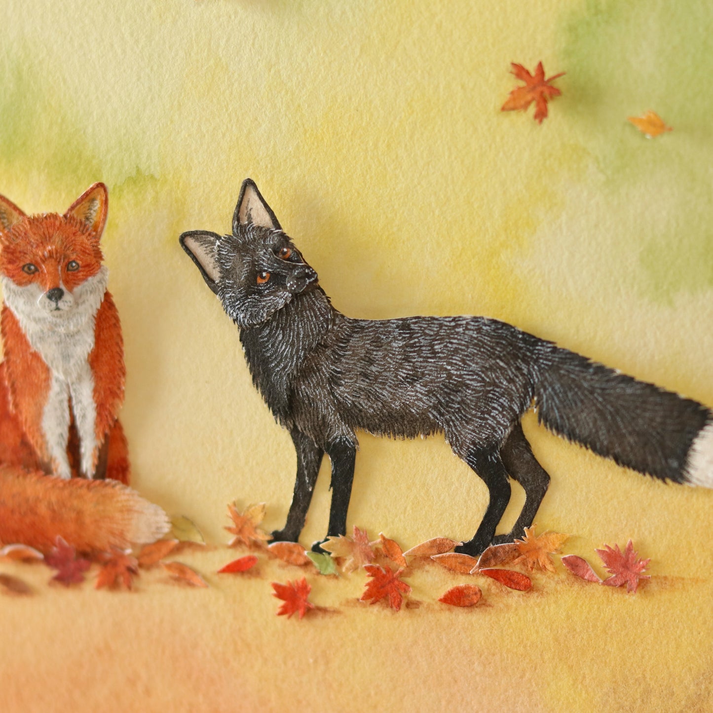 Red Fox