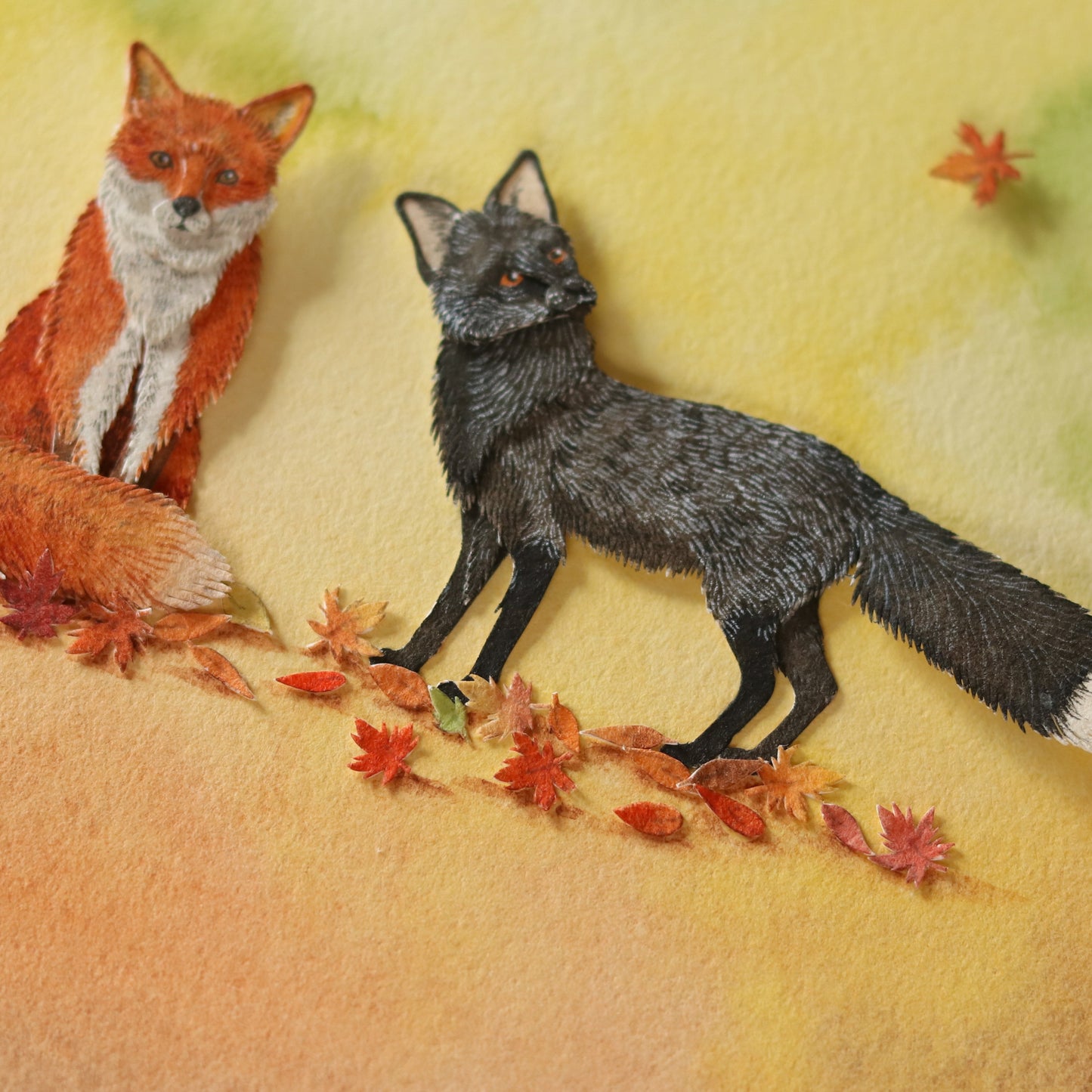 Red Fox