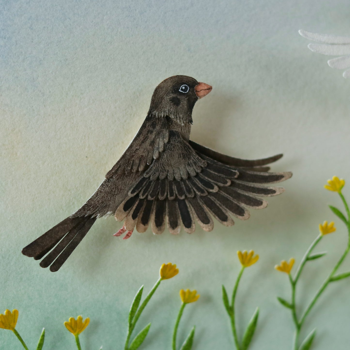 House Sparrow