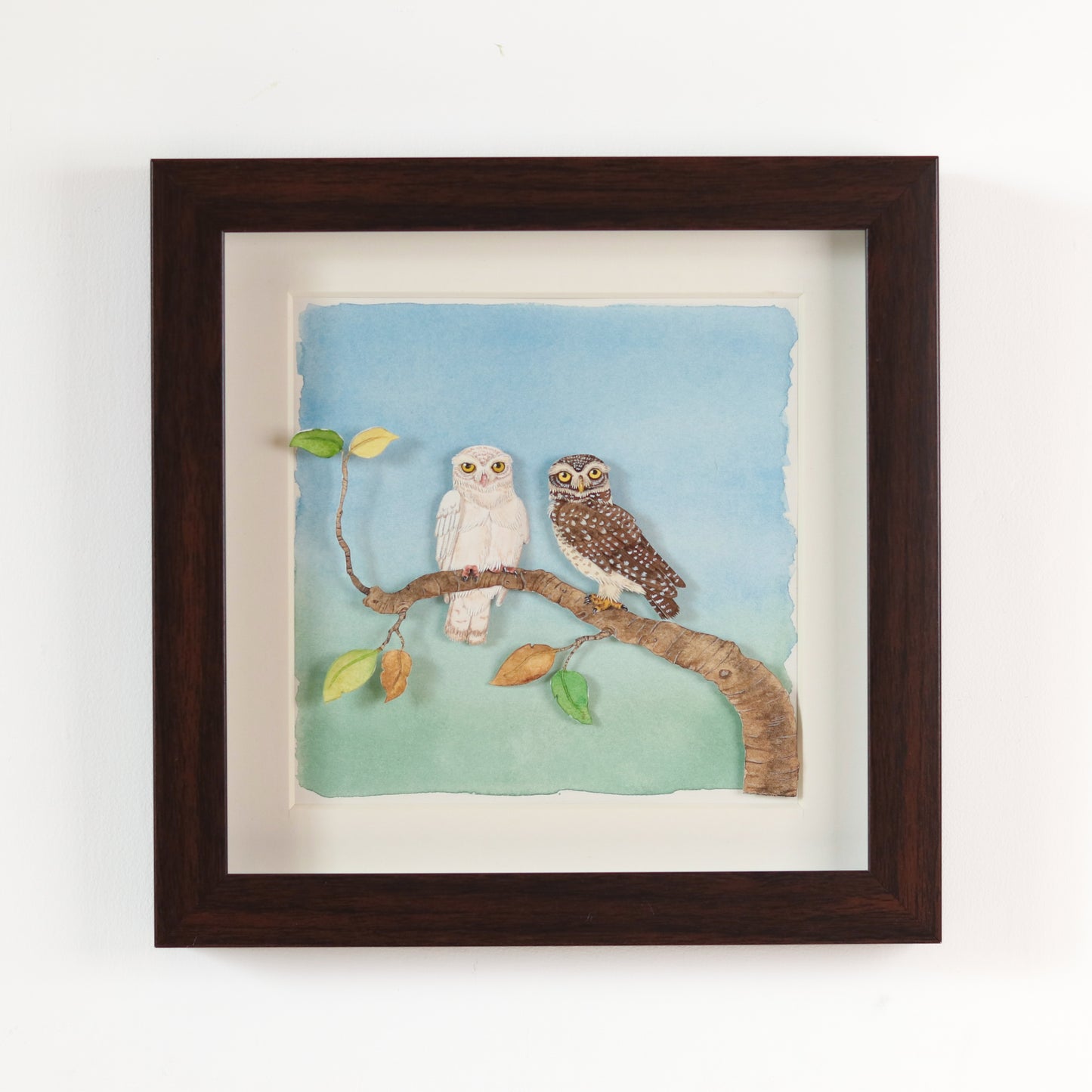Spotted Owlet