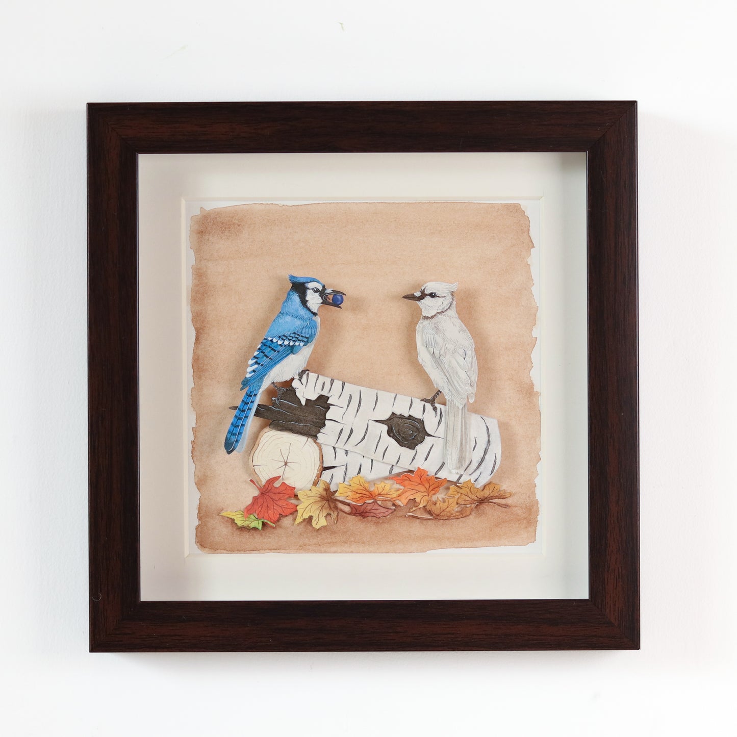 Blue Jay