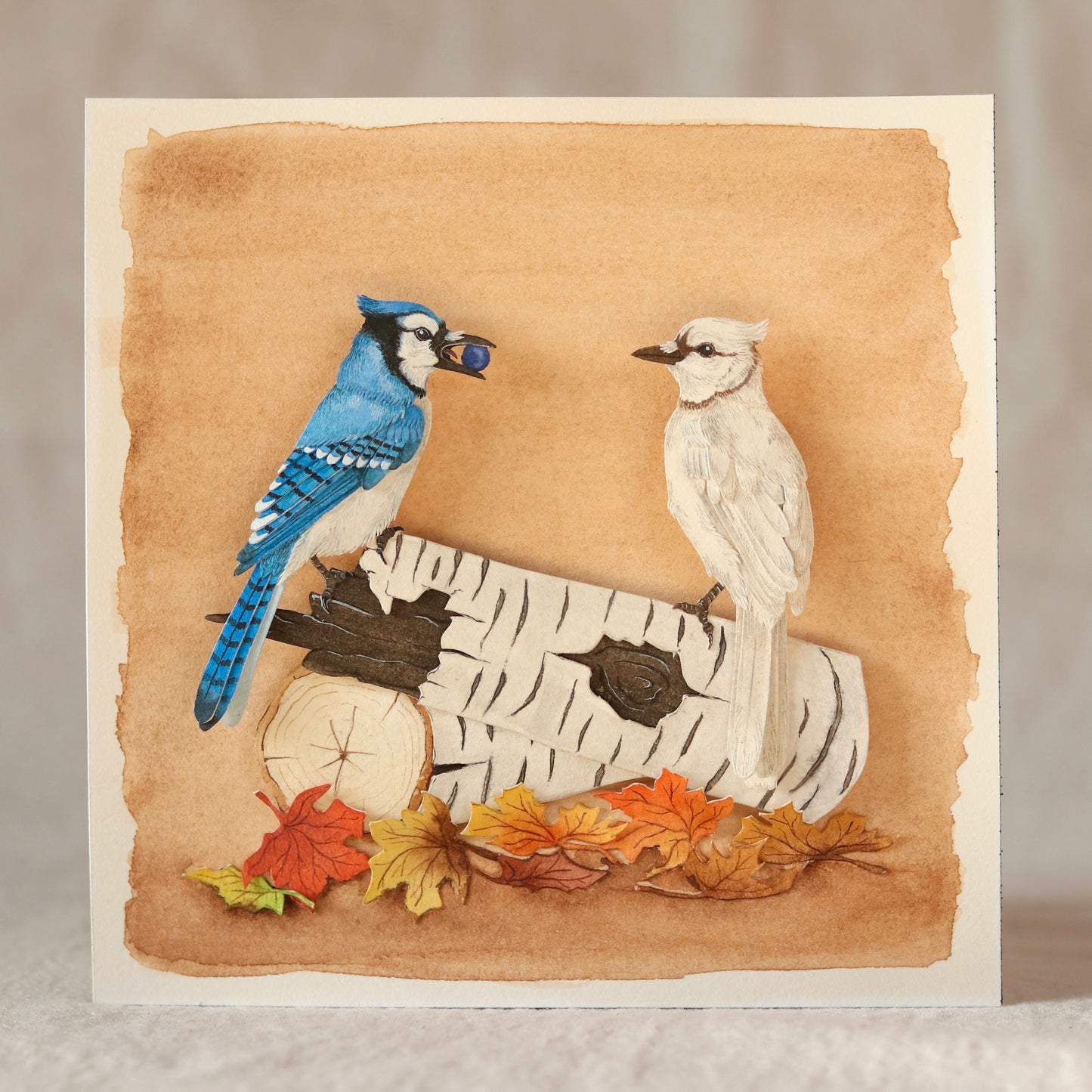 Blue Jay