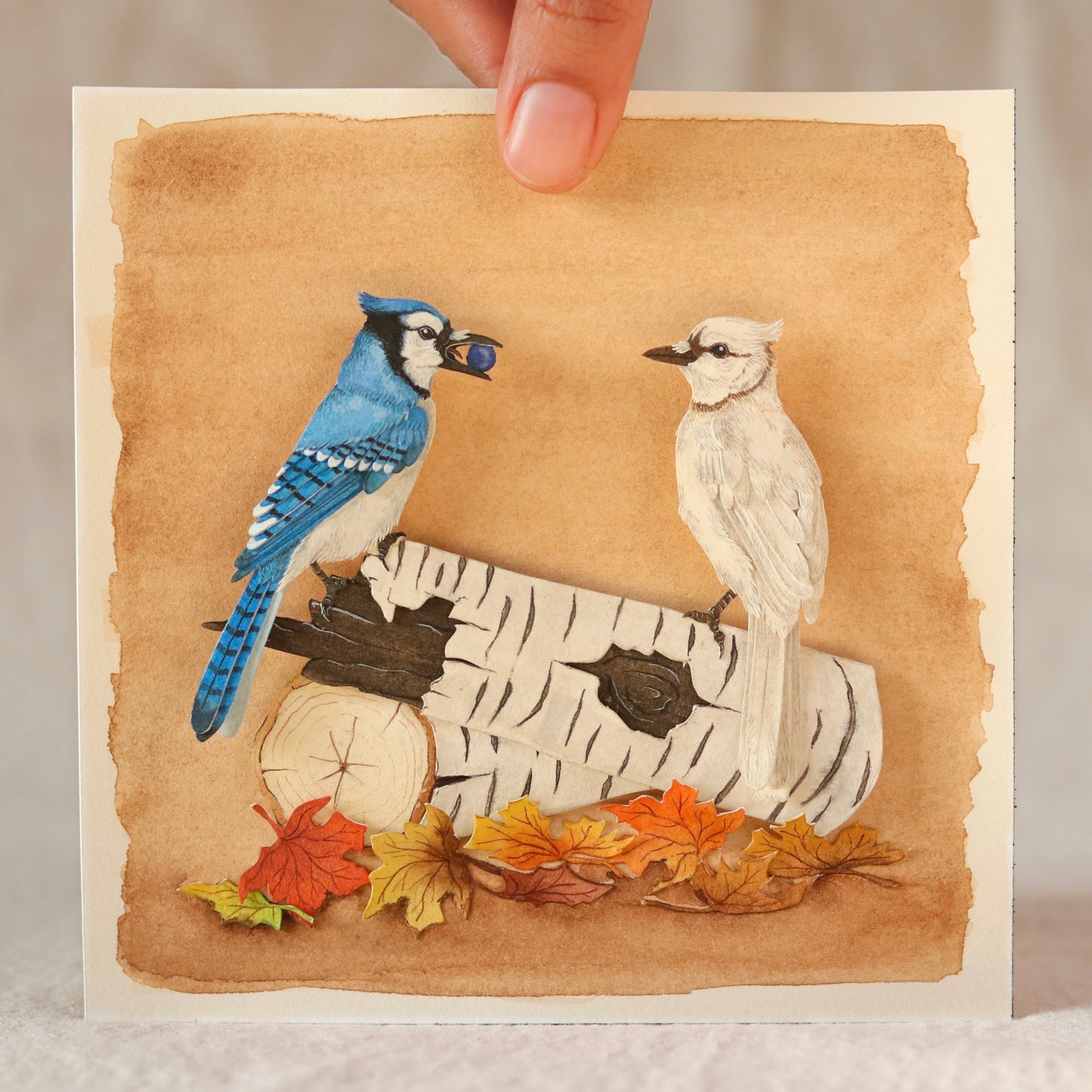 Blue Jay