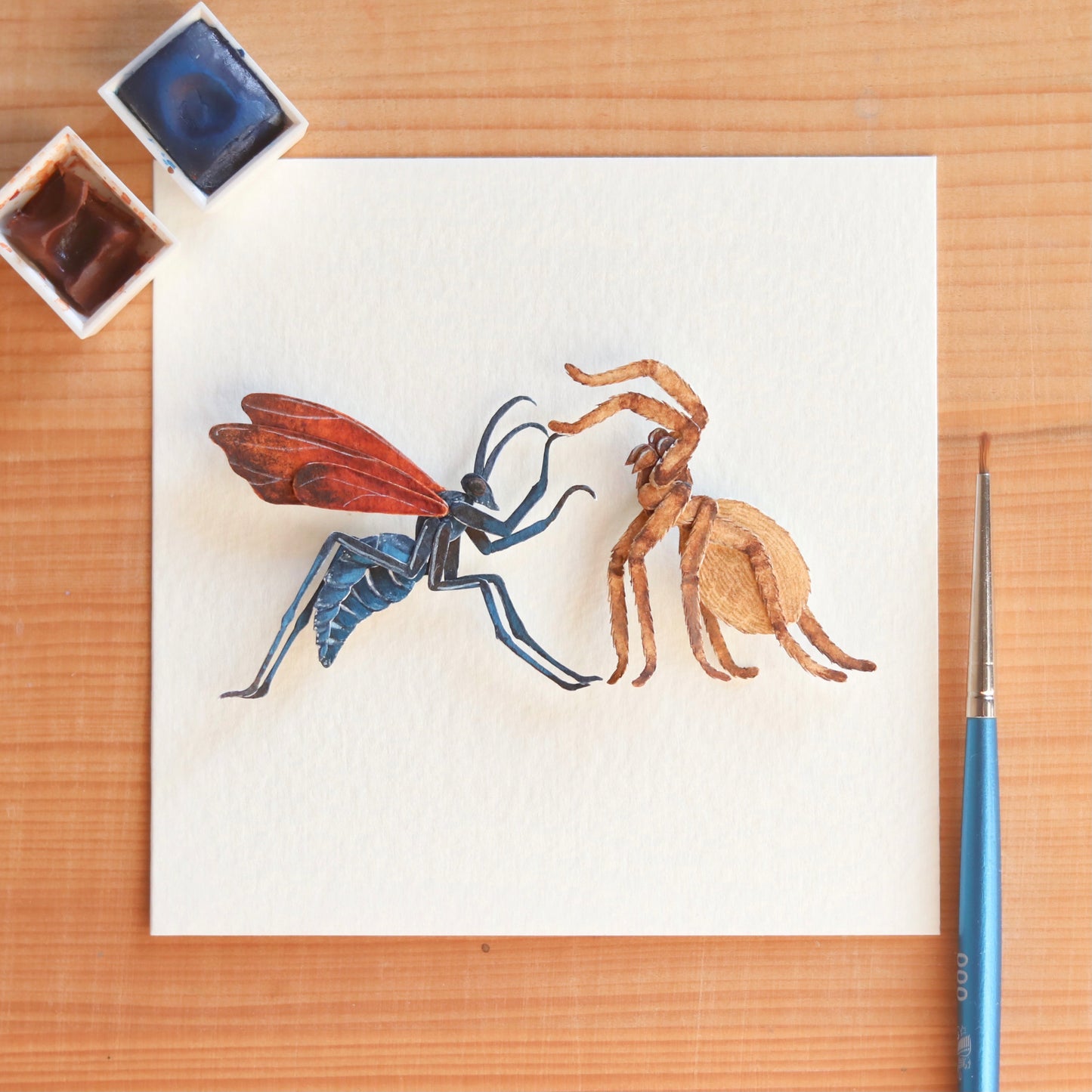 Tarantula Hawk Wasp vs Huntsman Spider
