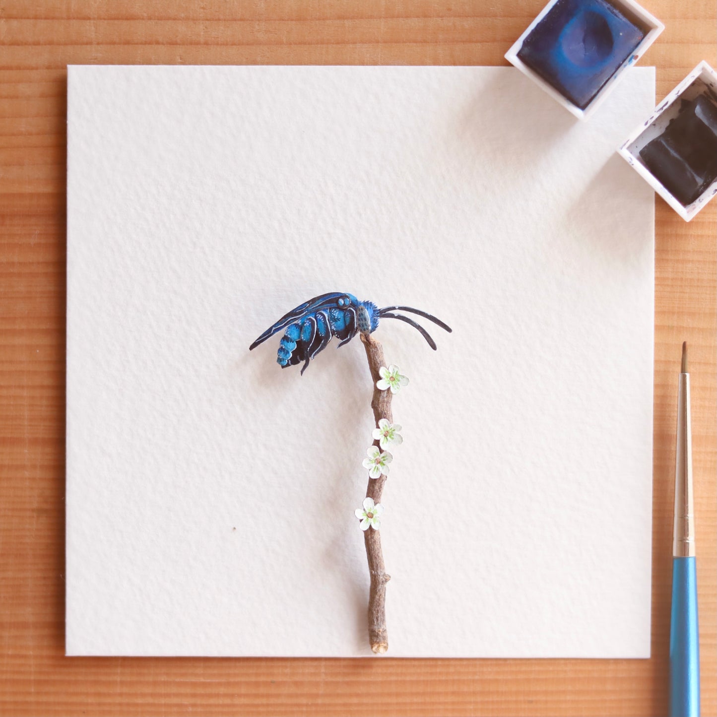 Neon Cuckoo Bee