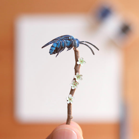 Neon Cuckoo Bee