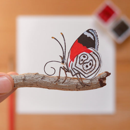 Anna's eighty-eight butterfly