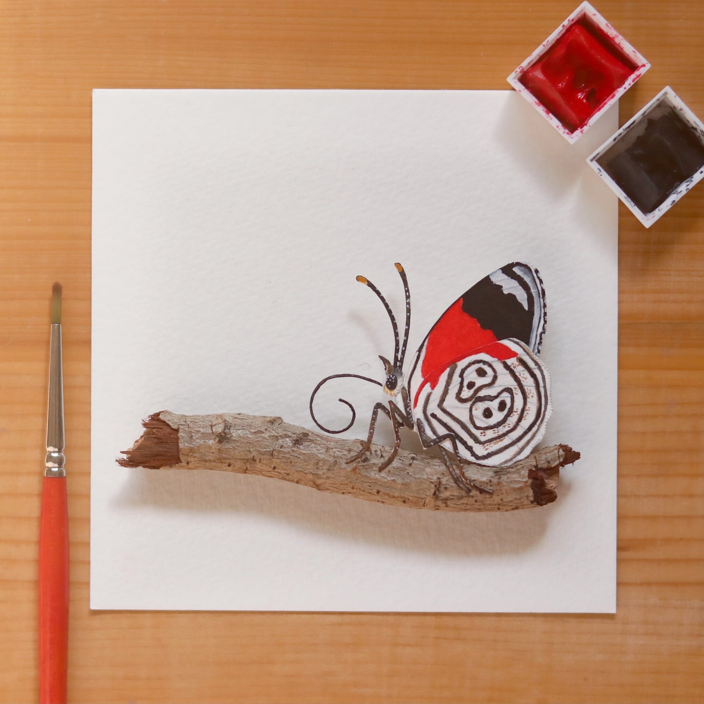 Anna's eighty-eight butterfly