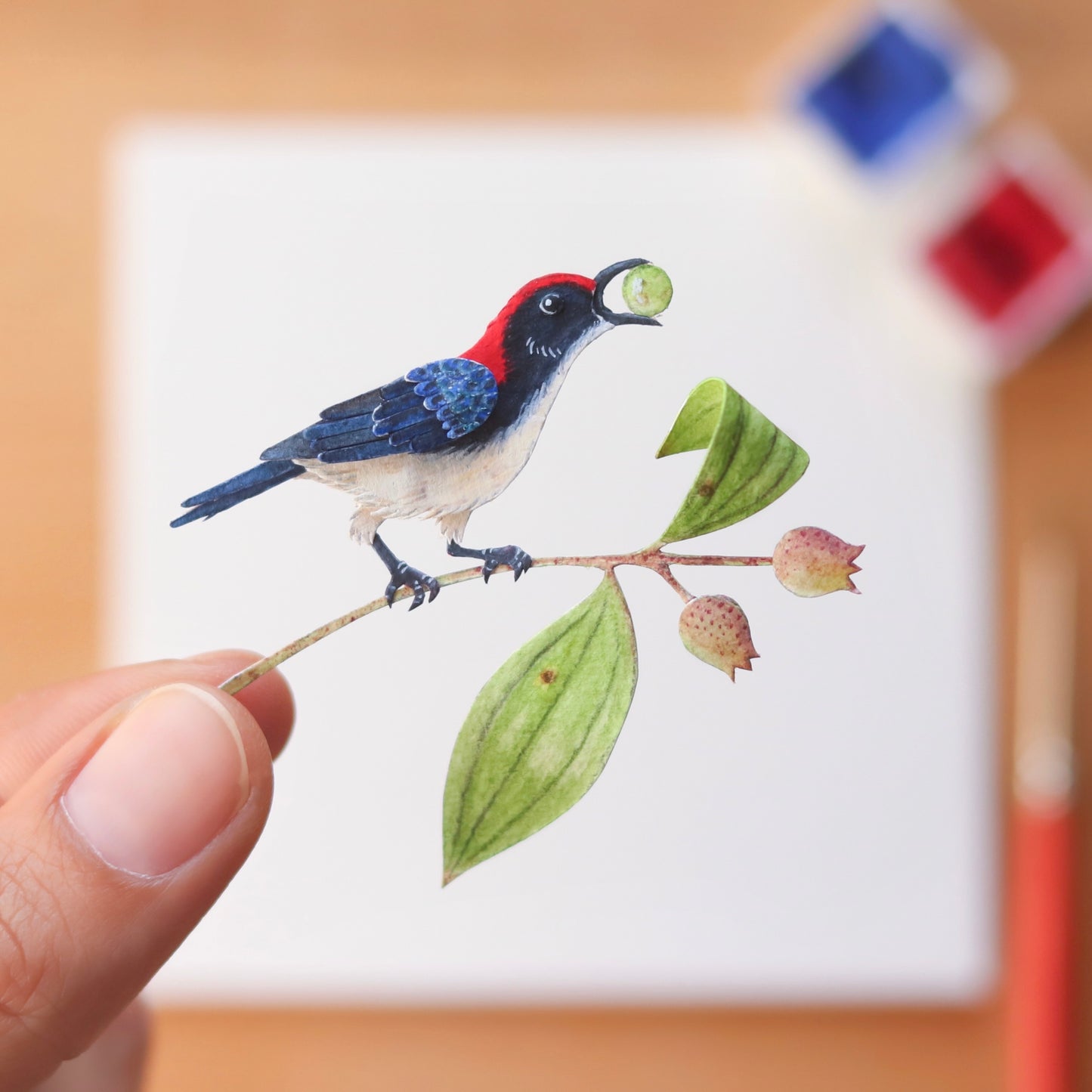 Scarlet Backed Flowerpecker