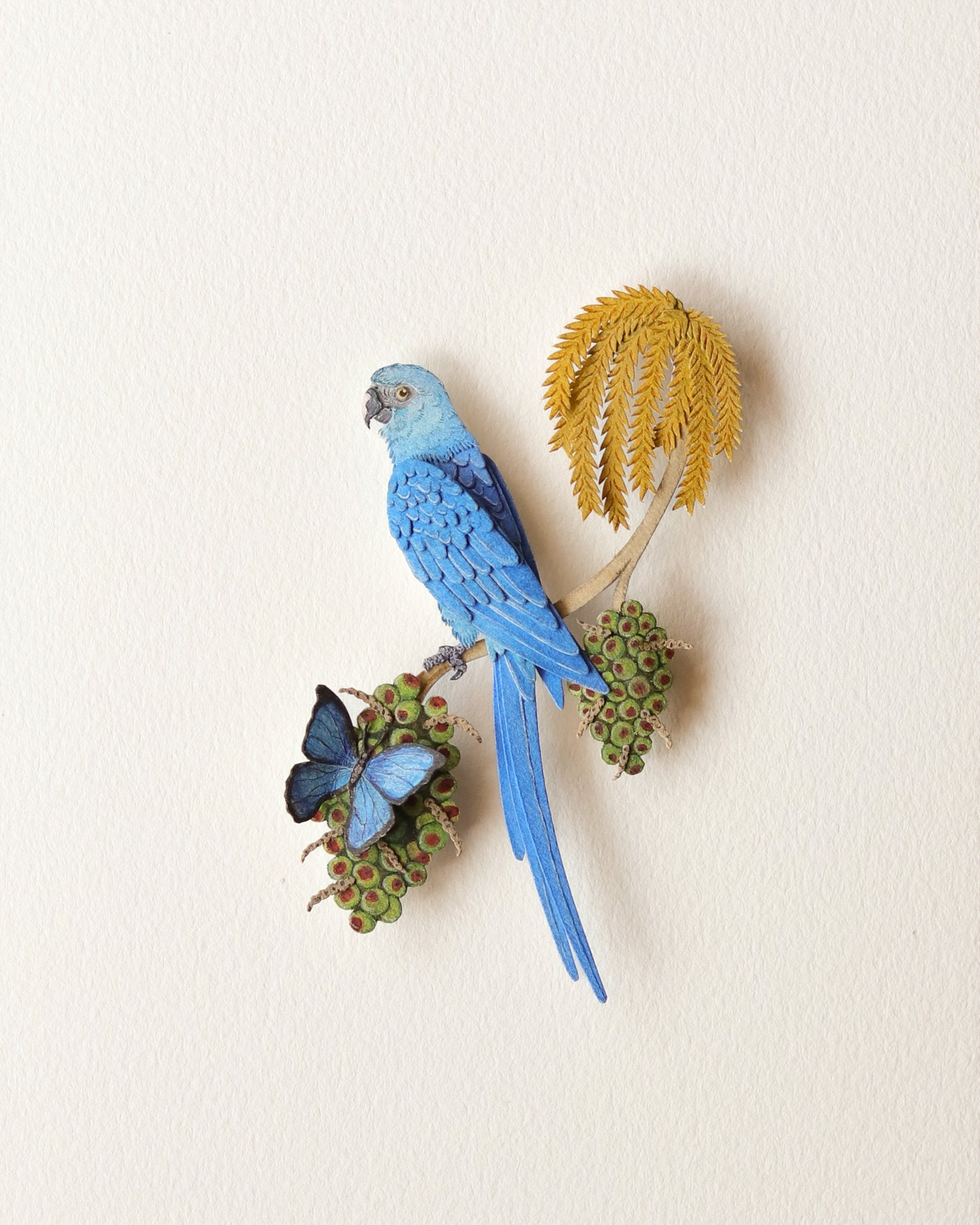 Spix Macaw