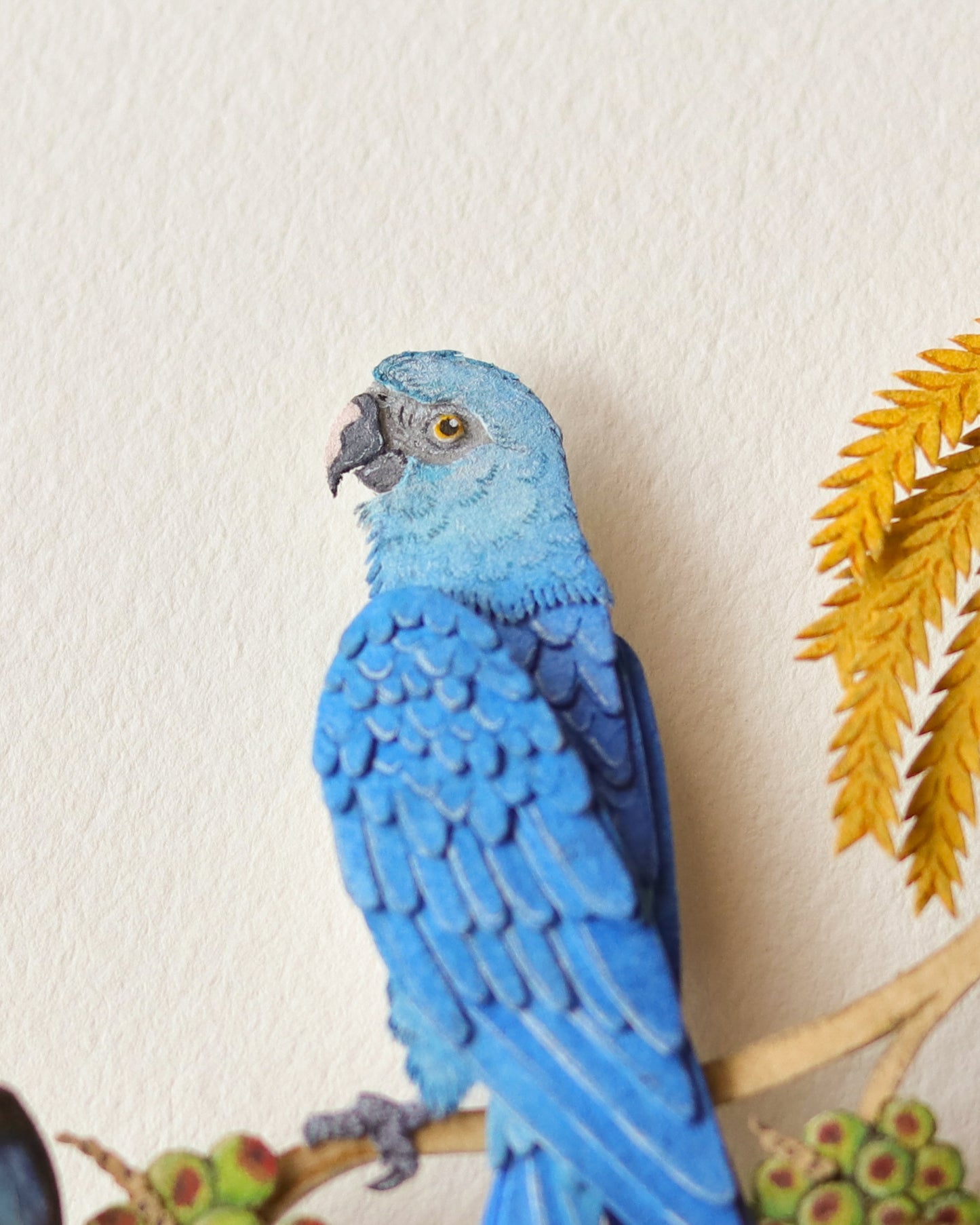 Spix Macaw
