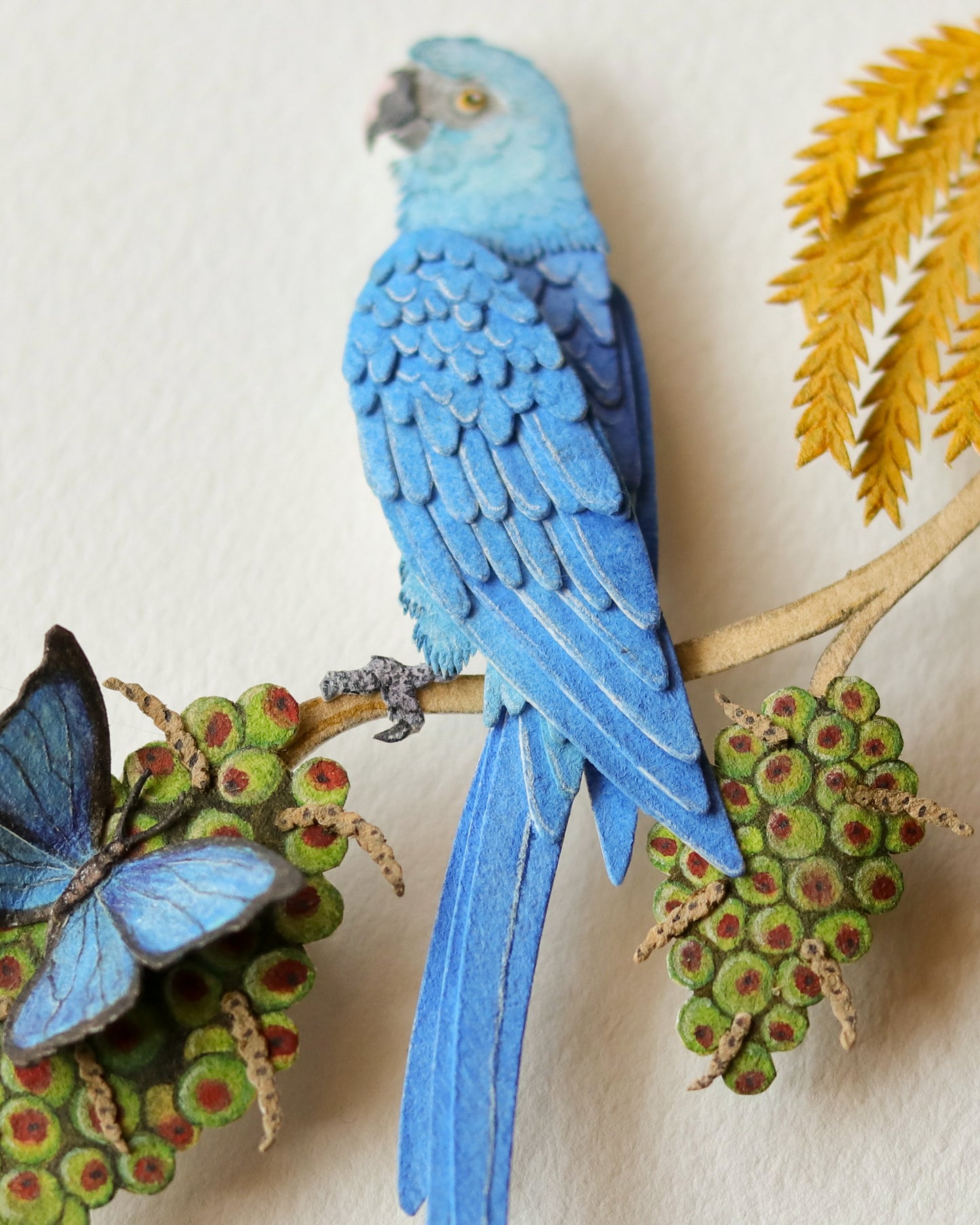 Spix Macaw