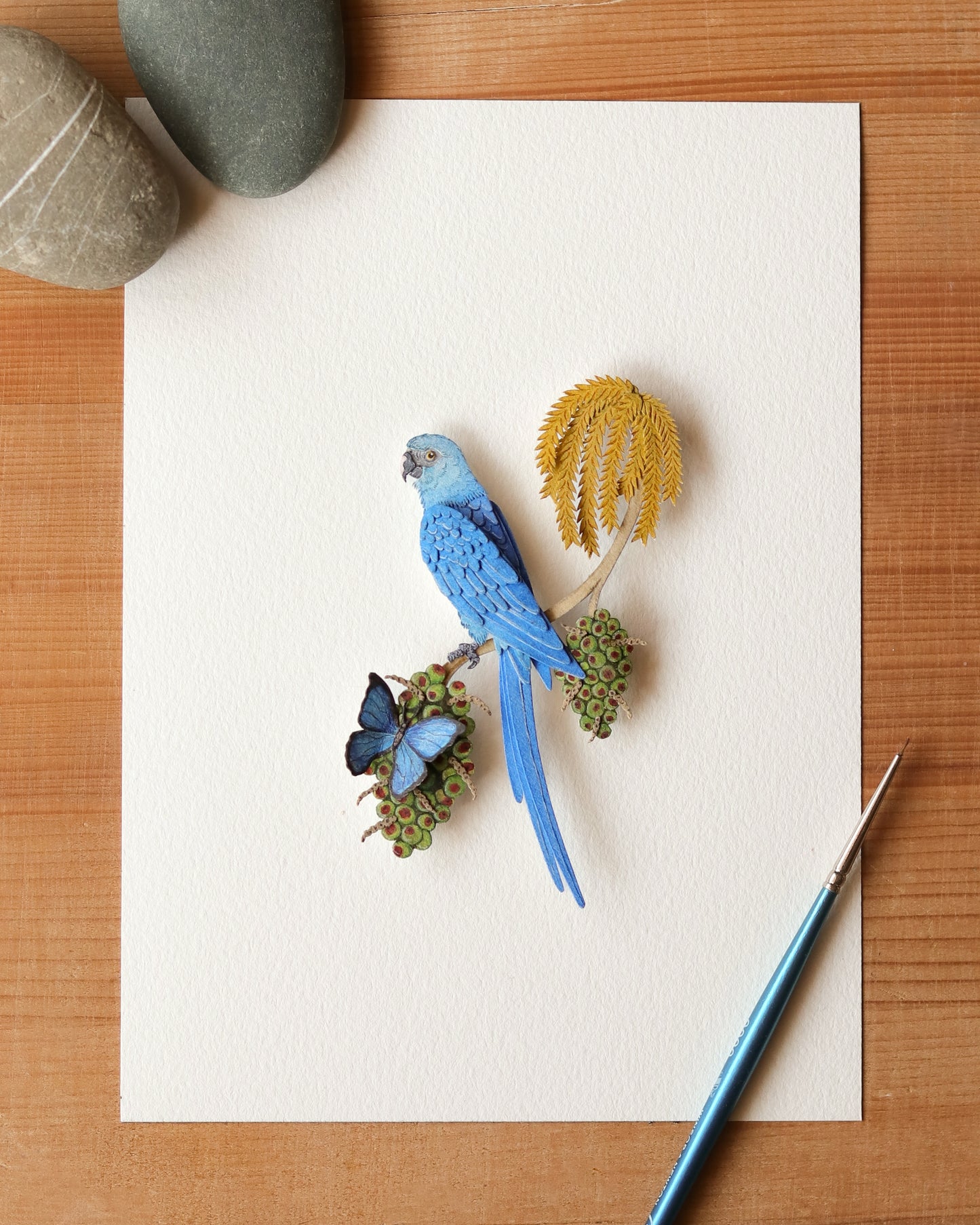 Spix Macaw