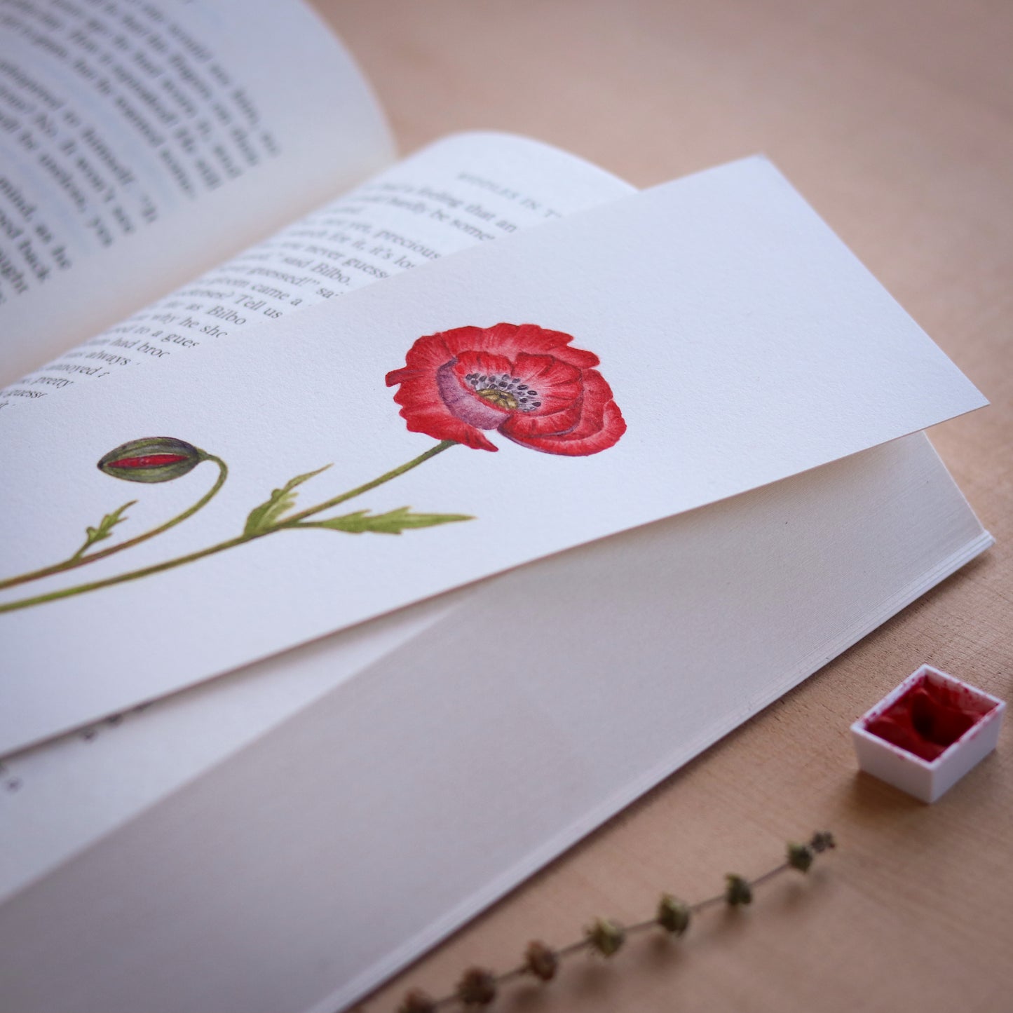 Poppy Flower - Original botanical illustration