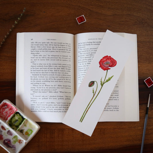 Poppy Flower - Original botanical illustration