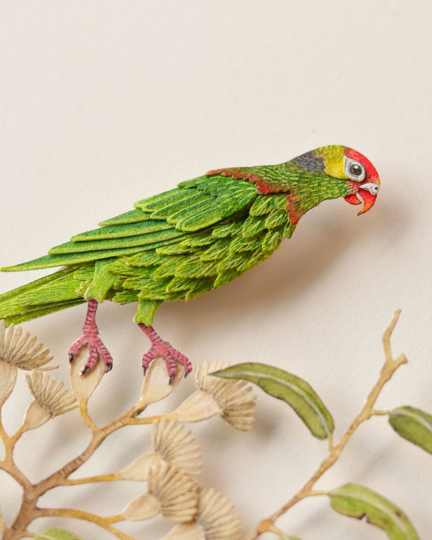 Varied lorikeet